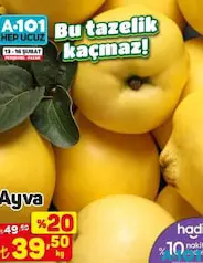 AYVA KG AYVA KG